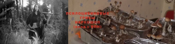 крисы Алексеевка