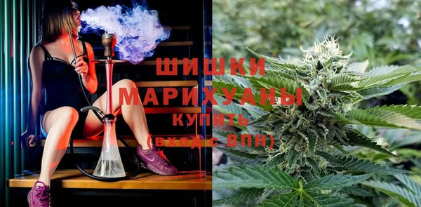 крисы Алексеевка