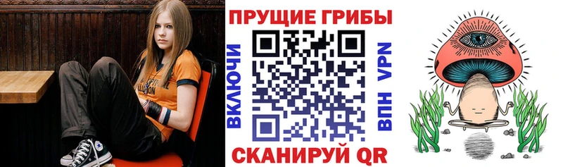 Псилоцибиновые грибы мухоморы  Суворов 